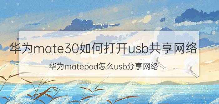 华为mate30如何打开usb共享网络 华为matepad怎么usb分享网络？